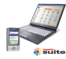 Translation software